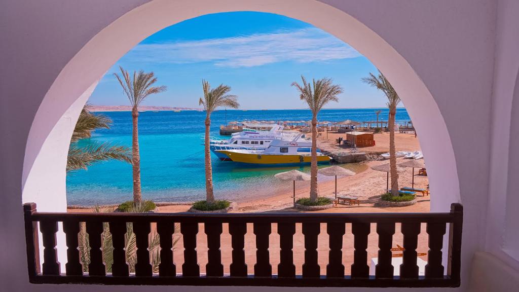 الفندق أرابيلا أزور - الغردقة